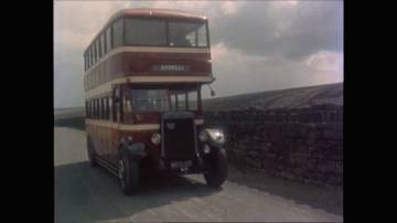 pbuses04.jpg