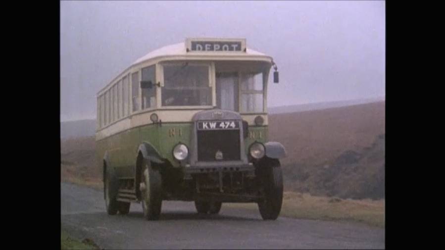 pbuses11.jpg